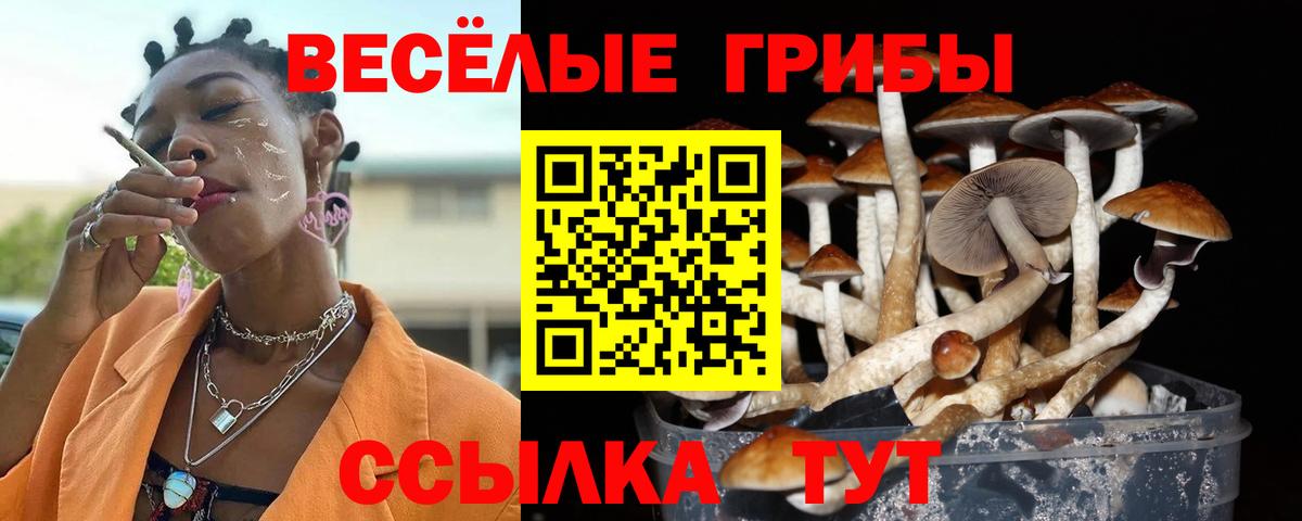 Добрянка  Галлюциногенные грибы ЛСД  Вход с VPN 
